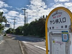 さて、バスの時間になったのでバス停へ☆

実は市街地から乗ってきた川平湾行きのバスが、川平湾から戻ってきて、ここを経由して石垣空港行きとなり、空港まで直接行けるので、かなり便利なのです☆

これだけバスに乗りまくるので、朝「24時間フリーパス」を買っても、すぐに元が取れてしまいます☆笑