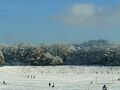 アインジーデルンからベルンへの移動では日曜日ということもあり、家族連れが雪遊びしている姿を見掛けました。ブリュッセルの「王立美術館」で観たピーテル・ブリューゲルの「ベツレヘムの人口調査」という絵を思い出すような風景です。