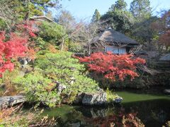 坂道沿いに「青龍苑」があり、奥にある庭を覗いてみました。
紅葉がきれいです。
