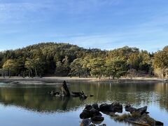 毛越寺も奥州藤原氏滅亡後は災禍に遭いすべての建物が消失
この大泉が池を中心とする浄土庭園の遺構がシンボルとなっている