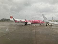 石垣空港は雨でした。
さくらジンベエが出発。