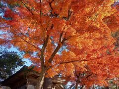 松島海岸駅のすぐ近くの小山の上に建っていた地蔵大菩薩の小さなお堂と紅葉した大きな木