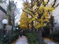 遊歩道公園の銀杏にはまだ葉が残っています。