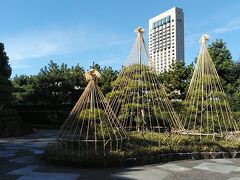 今回は海浜幕張駅から歩いて10分にある美浜園からスタートです
大きなビルはニューオータニです