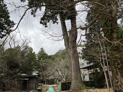　青葉山の中腹にある松尾寺です。
　仁王門と本堂を修復中でした。