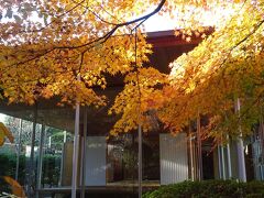 横浜　馬場花木園の紅葉

毎日、散歩で訪れる馬場花木園。
茶室から。
どこもかしこも紅葉・黄葉。