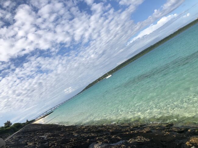 ホテルから林を抜けた海