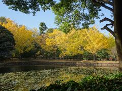 横浜　三ツ池公園

大きな3つの池を周る。
上の池から。