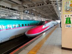 仙台駅からはやぶさに乗車。
新函館北斗駅まで約二時間半。
青函トンネルを通る時は放送が入り、22分かかるとか・・・。
はやぶさに乗るのも初めてでワクワク。