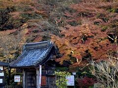 続いて来たのは百済寺。