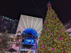 この時期、夜はどこもキレイだけど、Ovation Hollywoodもきらびやかです☆
大きなクリスマスツリーは電飾がキラキラ☆