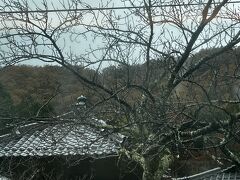 途中、数年前に流行った「竹田城址」の最寄り駅「竹田駅」に停車しました。
帰りは、竹田駅には停まりませんでした。