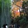 紅葉の京都　嵐山散策