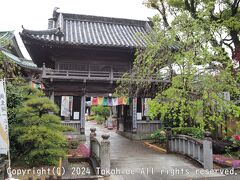 [第19番]立江寺 山門(仁王門)

飛び出し坊やを左折して県道28号に入り突き当りを右折して再び県道136号に入ると左手に山門があります。
鐘楼は山門を入って左、手水舎は山門を入って少し進んだ右です。


立江寺：https://www.tatsueji.com
立江寺：https://88shikokuhenro.jp/19tatsueji/
