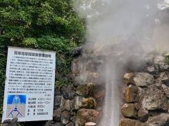 血の池地獄のお隣の龍巻地獄へ
間欠泉であり屋根で止められてますが屋根がなければ30mほども噴き出すらしいです