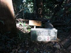 登山道というよりも、裏山を歩いているような気分で進んでいくと、六国見山山頂の印がありました。え、こんなところに！？