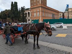 前の広場、ヴェネツィア広場 (Piazza Venezia) には、観光用のこんな馬車が。