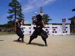 なかなかガチですよ