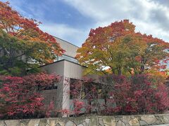 そこから歩いて数分。
六花亭にやってきました。
紅葉がきれい~♪