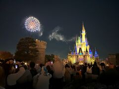 東京ディズニーリゾートの花火