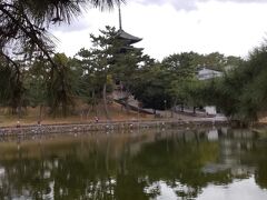 ☆興福寺五重の塔を借景に、定番の猿沢の池からのリフレクション～