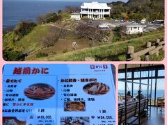 越前岬水仙ランド