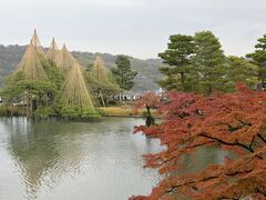 車を借りてまずは兼六園へ。
雨もちょうど止んでて、助かりました。
あたりには修学旅行生がちらほら。