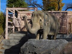 かみね動物園