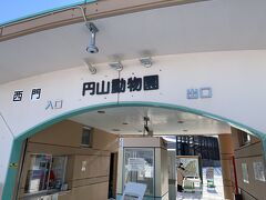 円山動物園