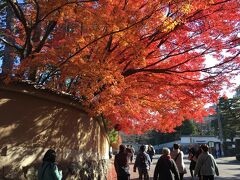 東福寺駅から出て、臥雲橋のほうに歩く。
午前10時半くらいですが、三々五々の行楽客の流れに身を委ねます。