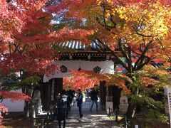 岡崎公園バス停からは、けっこうな距離を歩かされました。
まあ、旅に出たら歩くことを厭わないようにするというのをモットー（？）にしているので、つべこべ言わずに１.６ｋｍの道のりを進みます。
ああ……、今日も3万歩いっちゃうかな。