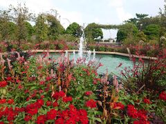 港の見える丘公園の香りの庭です。
中央の噴水をはじめ、様々な花々が華やかに出迎えてくれます。