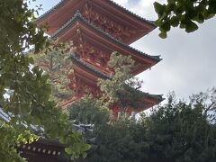 迷路を進むと、西光寺が。朱色が素晴らしいです。