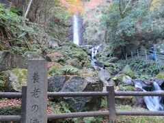 養老の滝