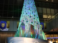 JRゲートタワー
JRゲートタワー1階に名古屋地区最大級となる高さ約12メートルのクリスマスツリー