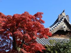 祐天寺では丁度紅葉の見頃