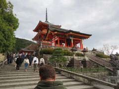 駐車場まで結構な登りでしたがそこからもさらに坂道
そして石段。