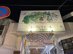 初日のディナーは、街へ出てみました。
本当は、ハンバーガーのお店に行くつもりが、お目当てのお店が見つからない・・・涙

情報が古かったのか、地図を見間違えているのか・・・。で、諦めて、ユーグレナモールへ。