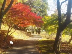 韮山駅の途中下車は昨年と同一行程。駅から徒歩２０分ほど、城池親水公園から韮山城址の高台に登り、そこから富士山を眺めるのが目的。
ただし、実は新幹線の車窓からは富士山が雲を被っており、三島駅の新幹線ホームからも本来は富士山が正面にみられるのだが、今日も見えていなかった。