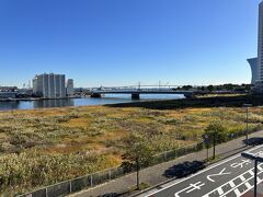 横浜ベイエリアらしい景色を望む広大な敷地（「みなとみらい21
中央地区62街区」）があります。

2020年6月に「横浜にフォーシーズンズ・ホテル＆リゾーツが進出！
2022年から着工し、2026年3月に開業予定」といったニュースが
ありました。

この敷地内に地上14階、地下2階で構成される複合施設（水族館、
『フォーシーズンズホテル横浜』の名称かな？）が
誕生するとのことです。
2022年から着工予定とのことでしたが、2023年10月時点では
まだ着工していません。
コロナ禍の影響で着工時期に変更を生じたのでしょうか・・・。

なお、写真右端にチラッと見えている「アール・デコ」の流麗な線形で
一面がガラスウォールの斬新なデザインのホテル（地上14階 、地下1階、
高さ60ｍ）は、2020年9月23日に開業した『ザ・カハラ・ホテル＆
リゾート横浜』です。あとで載せます。

ちなみに、複合施設（水族館、ホテル）の計画は以下の通りです。

＜複合施設＞
延べ面積：82,661.98㎡
高さ：59.95m
階数：地上14階、地下2階

＜フロア構成＞
1～3階：水族館、地下1階：駐車場
4～14階：ホテルコンドミニアム
7～14階：ホテル客室、4階 ウェディング施設
3階：スパ／会議室
1～2階：レストラン・バンケットルーム
地下1階：フィットネスルーム／駐車場
地下2階：プール