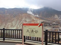白い噴煙を上げている大涌谷は、約3千年前に神山が水蒸気爆発を起こしたときの爆裂火口跡です。
硫黄の漂う噴煙地は、いまだ火山活動を続けています。