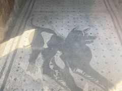 Googleマップを見ながら頑張って犬の床絵を探して、
(ジョジョに出てくるのでこれはマストで見たかった)