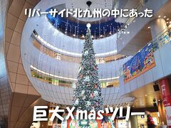 吹き抜けのホールには
巨大なクリスマスツリーがありました。