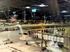 ヘルシンキ・ヴァンター空港に到着。定刻4:00に対し、3:27に着きました。
Flightraderで見たところ、これ以外の日も同様に定刻より早く着くのが慣例化しているようでした。