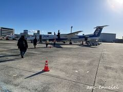 【12月17日（日）1日目】
鹿児島まで、プロペラ機でのフライト。
120年前のこの日、ライト兄弟が初めて動力飛行に成功したので、今日は『飛行機の日』なのだとか。