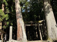 龍神様をお祀りしている神社だそうです。
室生寺の五重塔にも龍神を封じているという伝説もある様で、龍神に縁の深い土地なのですね。