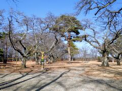 黒磯公園という小さな公園へ。
遊具の他にも大きなグラウンドがある運動公園？です。