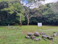 こちらは壱岐国分寺跡。
天平年間に全国に国分寺創建の詔が発令されましたが、壱岐では新たに建立するすることはせず島司、壱岐直の氏寺を「国分寺」として改修したそう。
礎石だけが転がってますが平城宮と同じ文様の瓦が見つかっているそうで、中央集権とのつながりがあったことを想像させます。