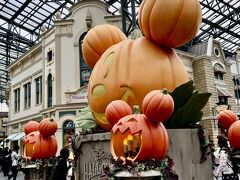 かぼちゃのミッキーが可愛い。
本日はハロウィン期間最後の日曜日。
思いっきり雰囲気を満喫しました。
いつもより大掛かりな仮装している人が多かった。