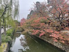 紅葉が綺麗な季節でした。12月ですけど。